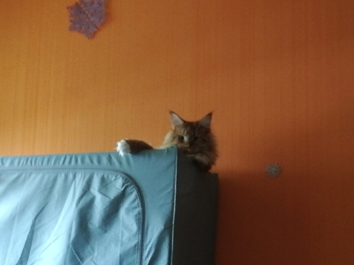 Здесь нам ровно годик