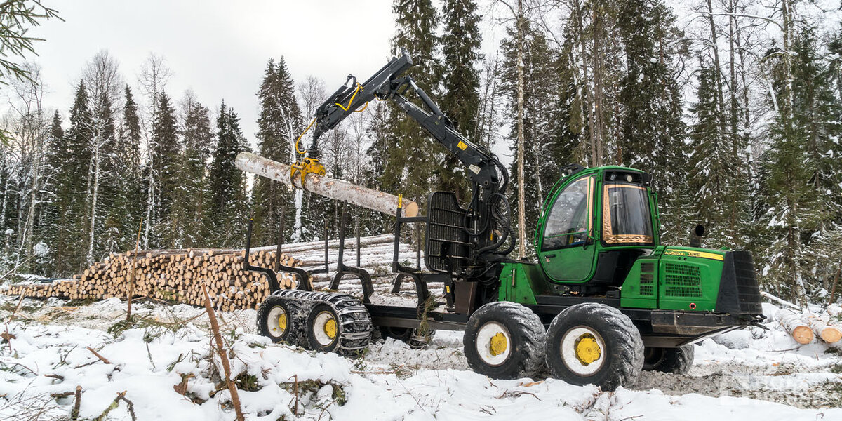 Заготовка древесины. Источник: holz-house.ru