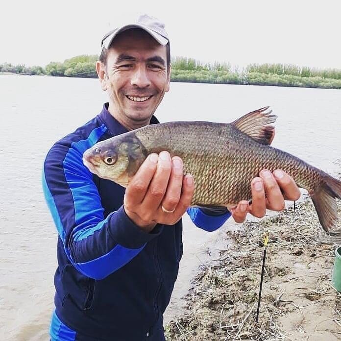 Поймали красавицу 