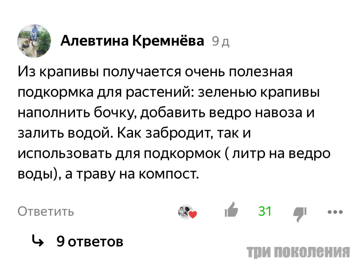 Натуральные удобрения своими руками для огорода повышающие эффективность урожая