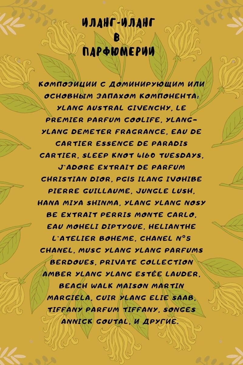 Ароматы с нотой иланг-иланга.