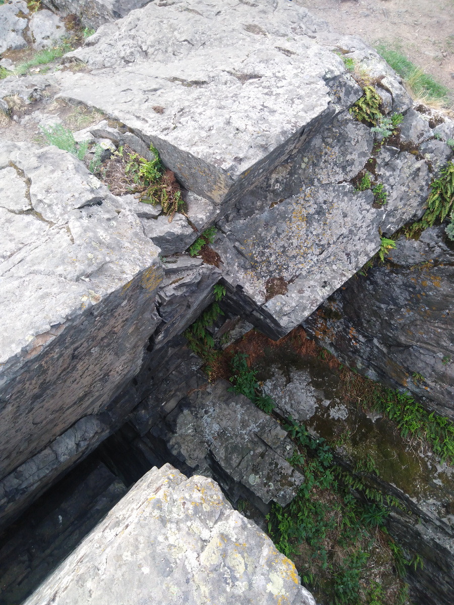 фото автора, на так себе телефон, если что, звонки с фотоаппарата - ещё хуже!