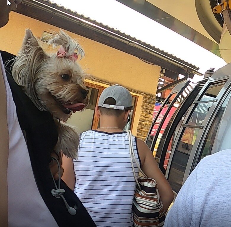 Идем на посадку