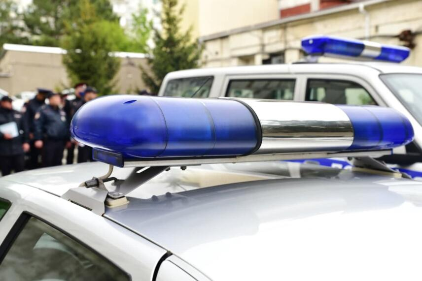 Фото: Наталья Сомова 