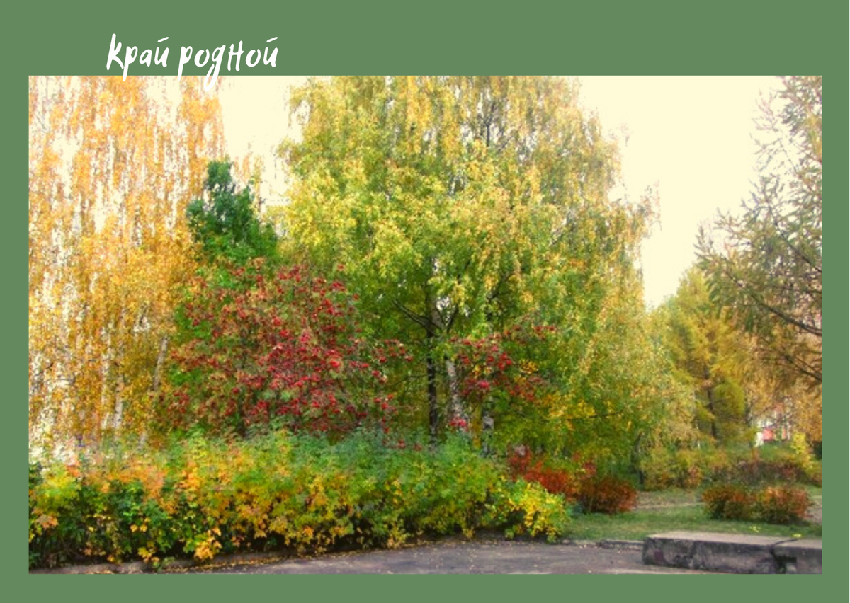 Все краски осени