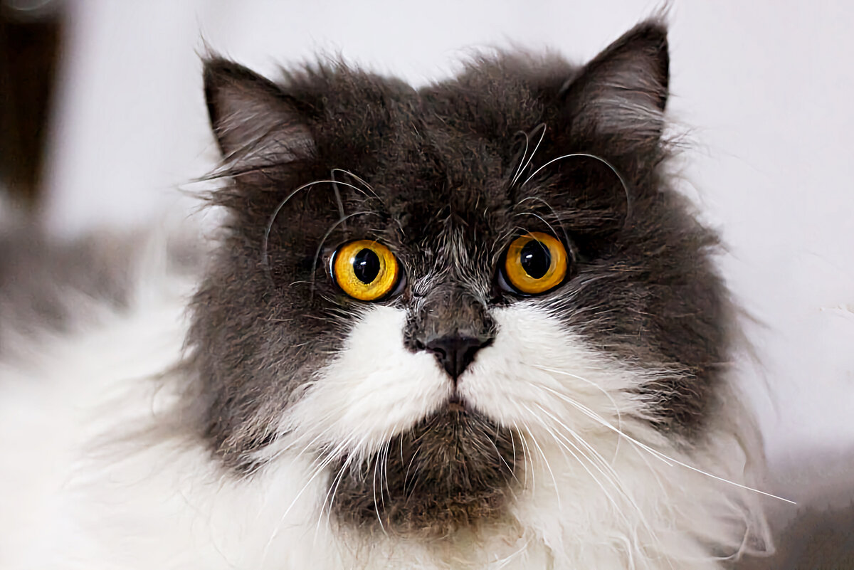 «А как же я? Один я не справлюсь!»