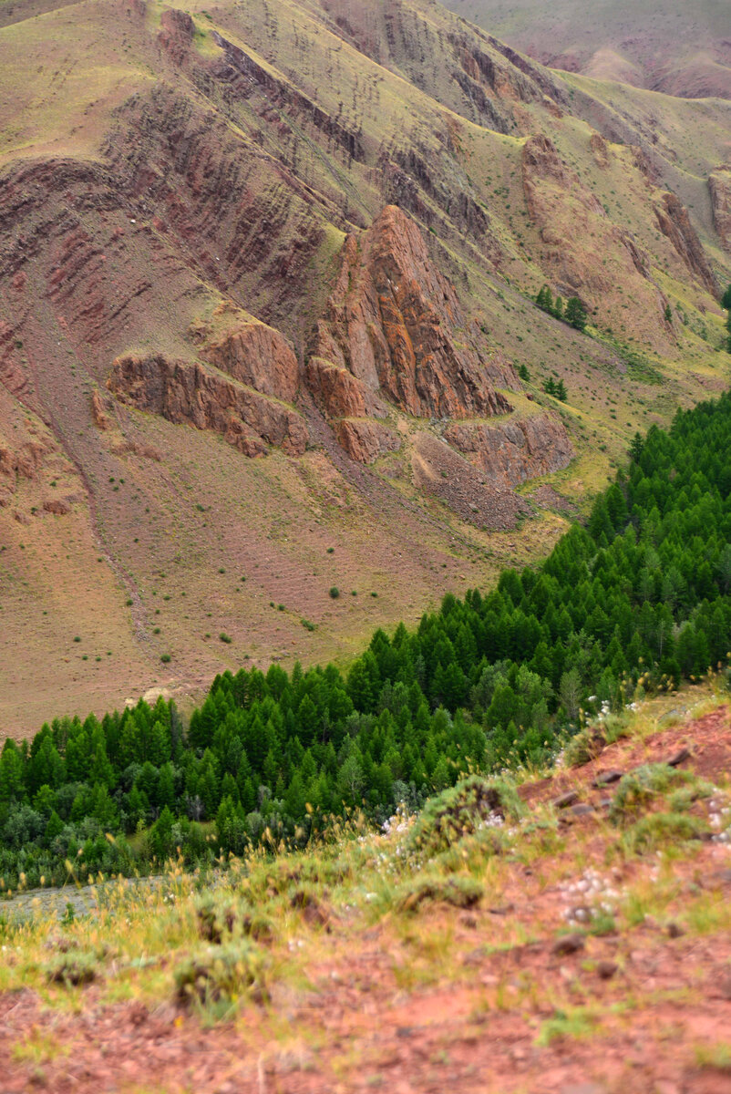Фото Ольга Шадрина