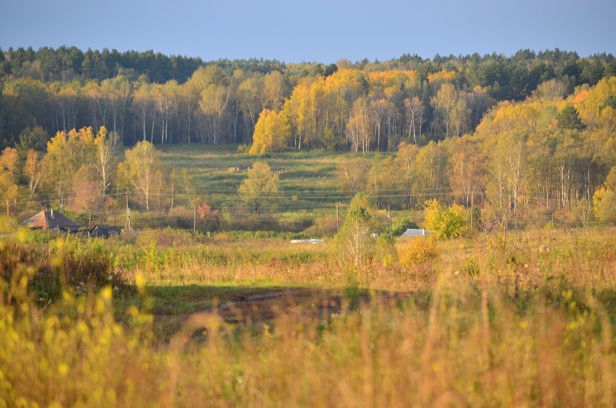 Деревня 0. Сельская дорога. Пудожский район карелия деревня кубово. Деревня 0. Деревня в грибном биоме майнкрафт.