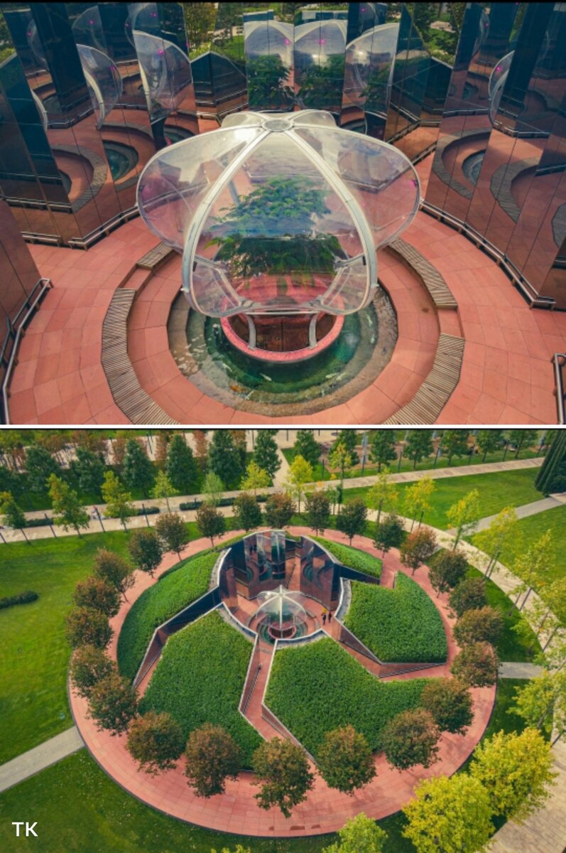 Коллаж автора, фото - Евгения Таранжина