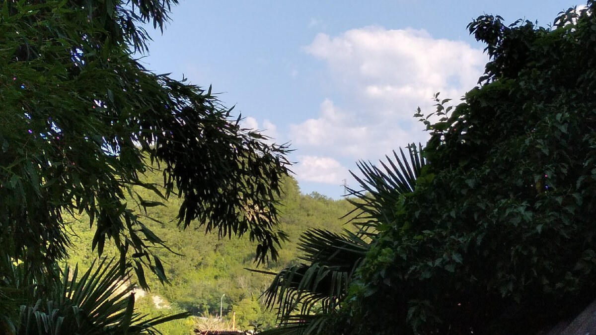 Вот такая красота вокруг домика