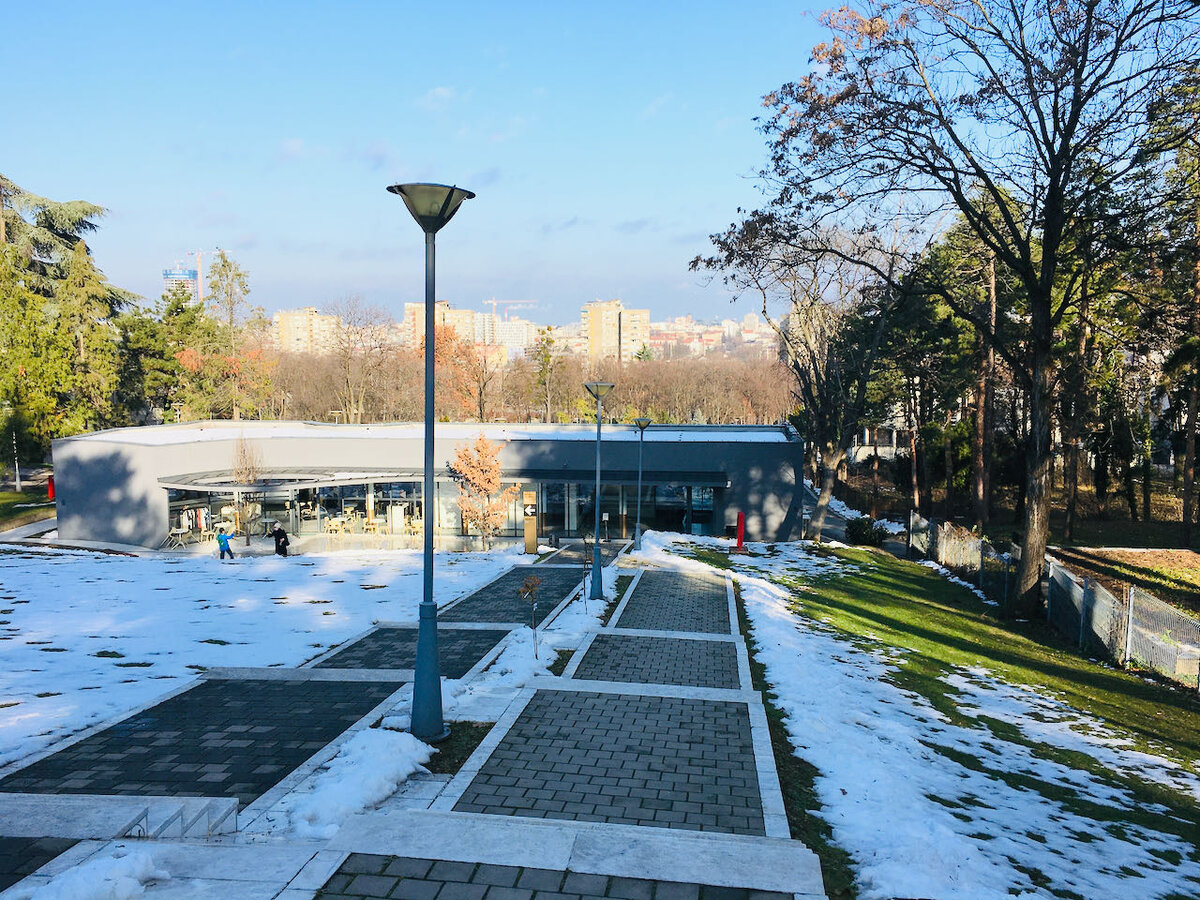 Дорога от проходной к Дому цветов