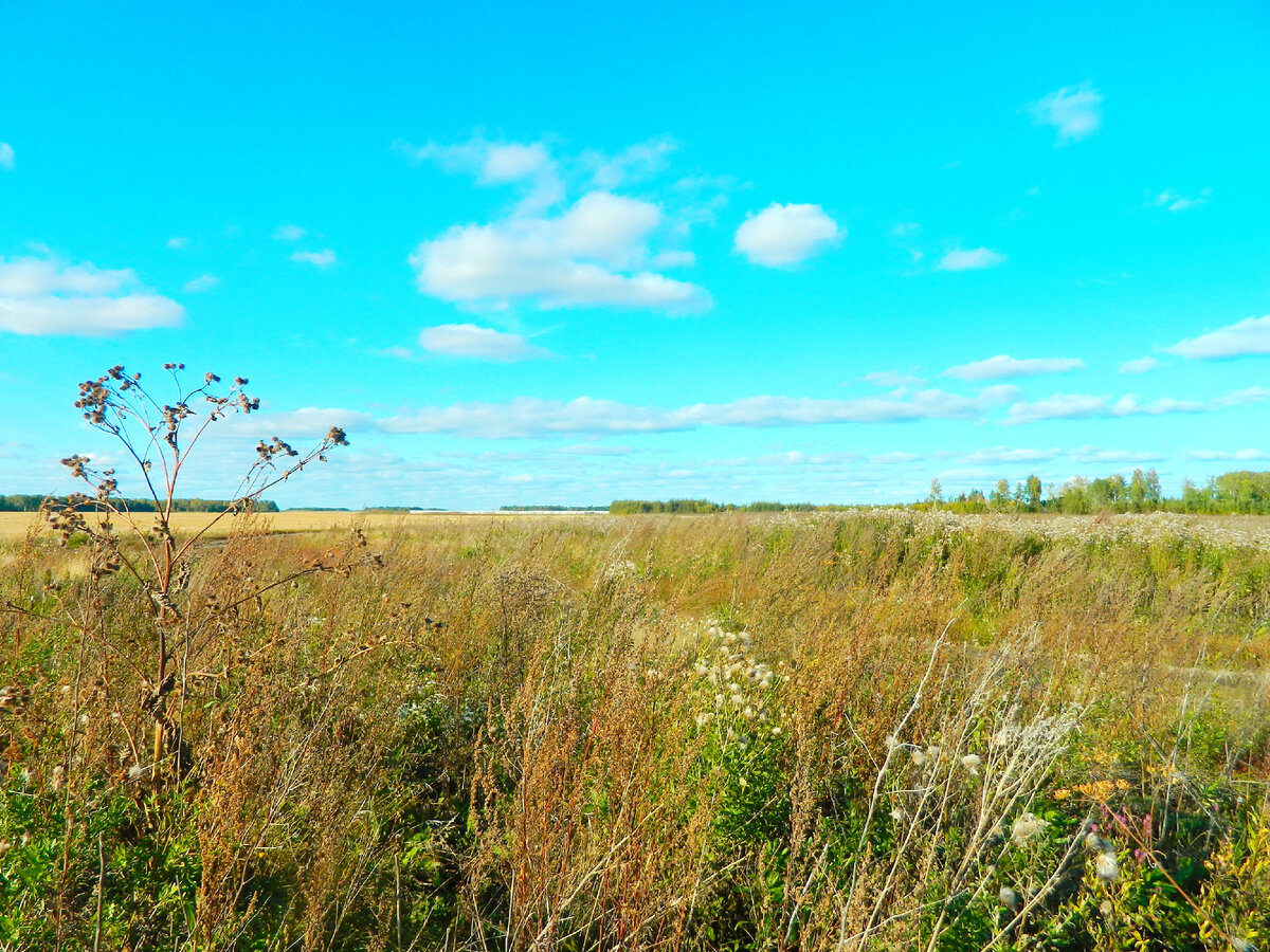 На месте падения лайнера. Вдали - ограждение аэропорта Рощино.