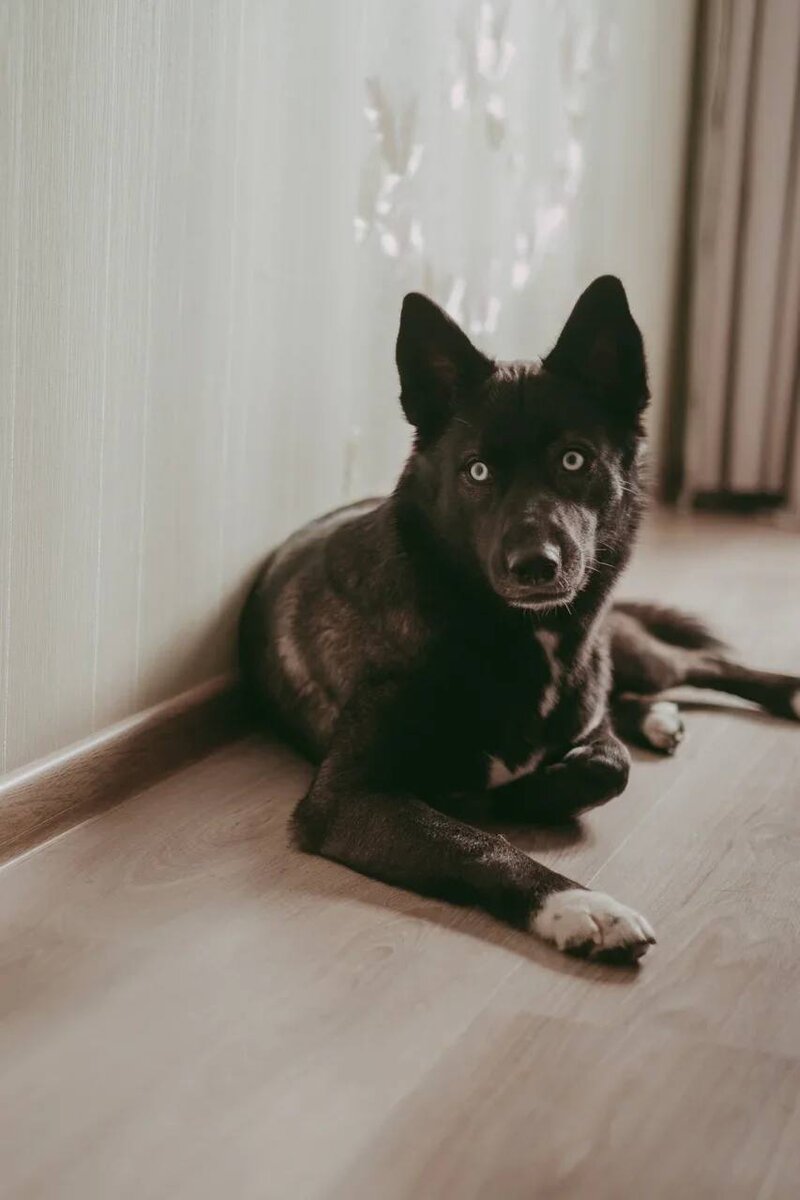 Фотограф - Елена Блинова