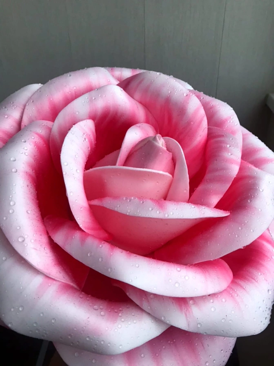 Бутон ночника💡Роза🌹