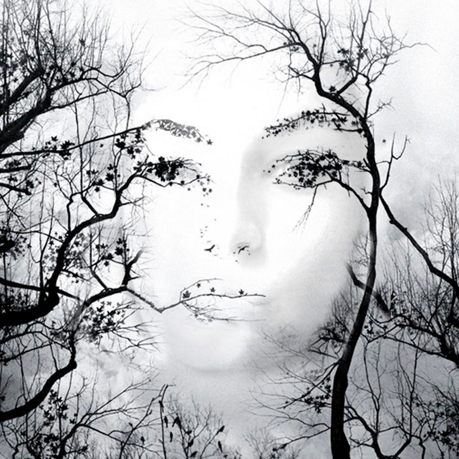 Снится образ человека. Картины иллюзии. Женское лицо в ветвях. Лицо на фоне природы. Девушка иллюзия.