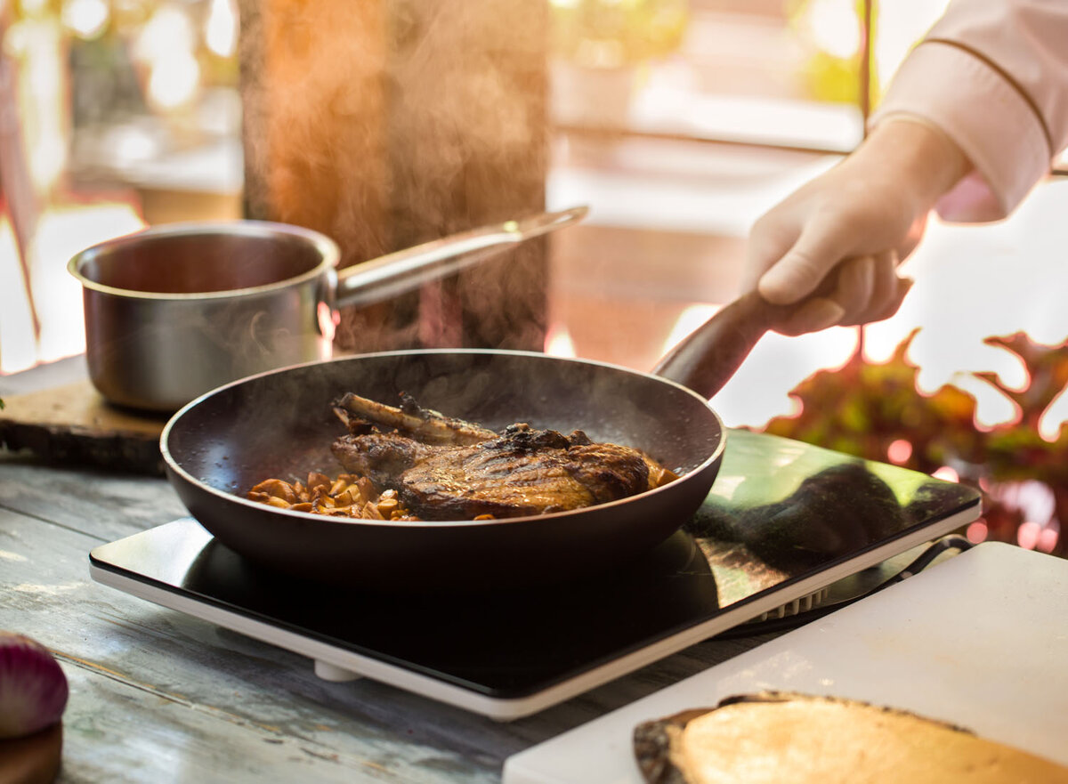 Индукционная плита @ endever.su