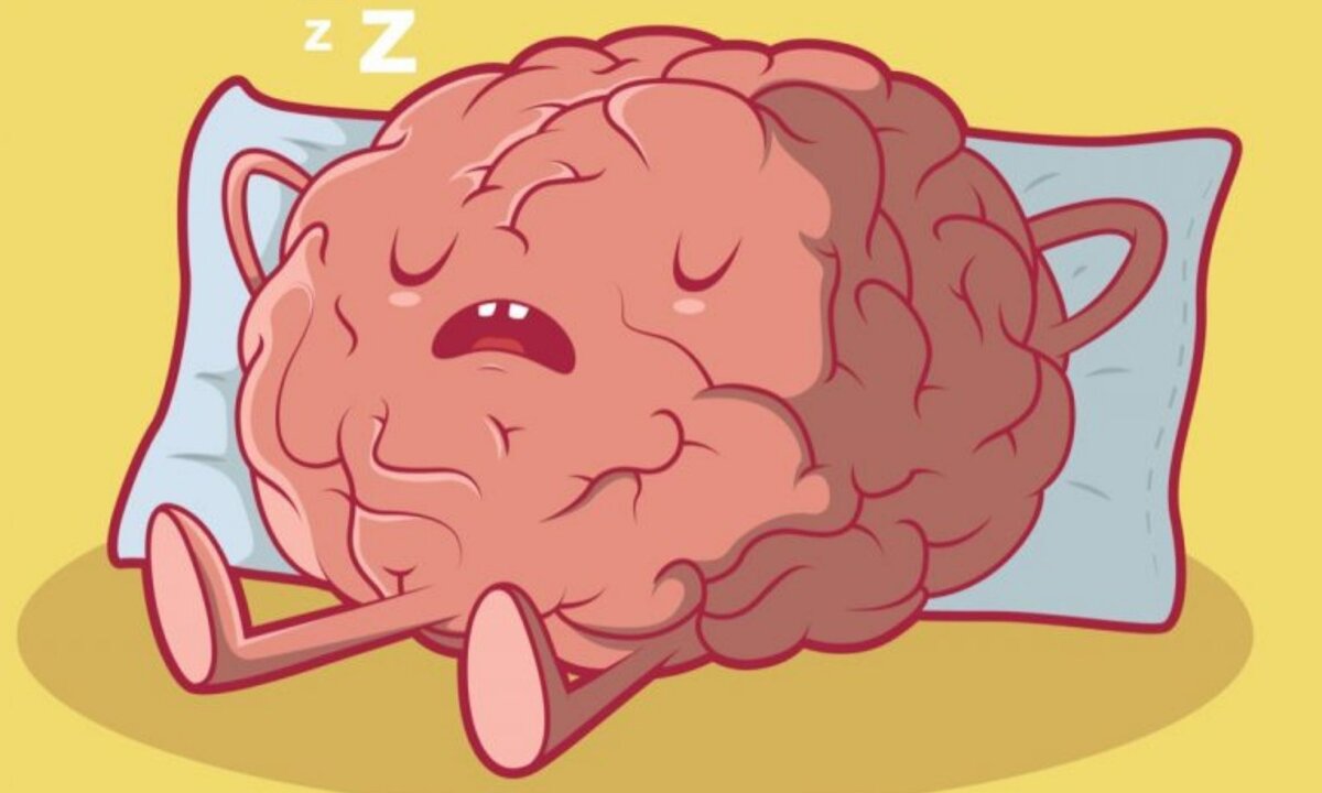 В свое время сон мозга мне виделся очень нужным делом