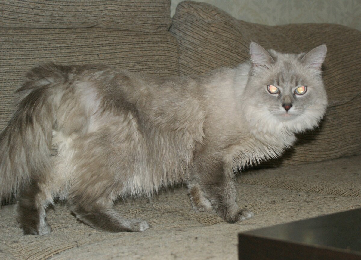 Только принесен