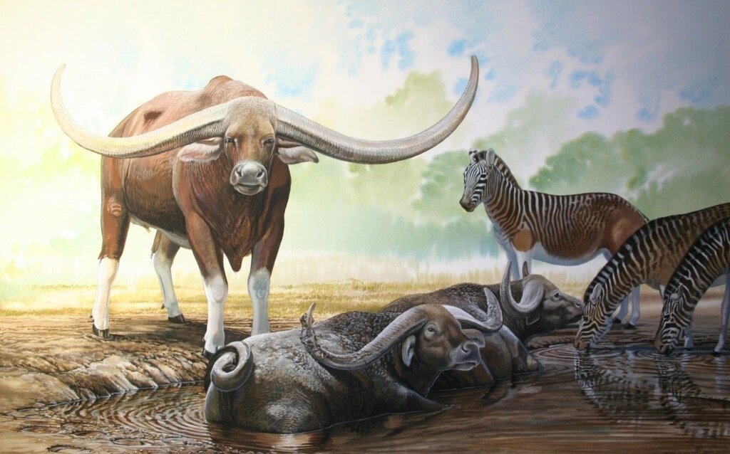 Время посещения джакузи вышло, либо оплачивайте дополнительное время, либо проваливайте.