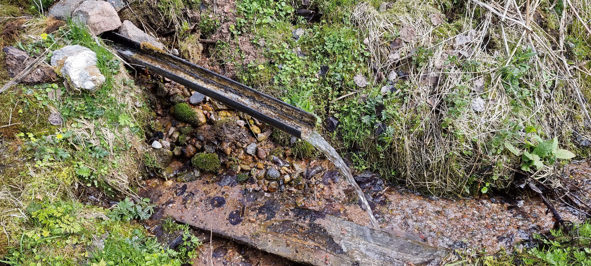 Родничок вблизи ОП 210 км, Бологое-Полоцкая железная дорога. Фото: Алексей Алексеев