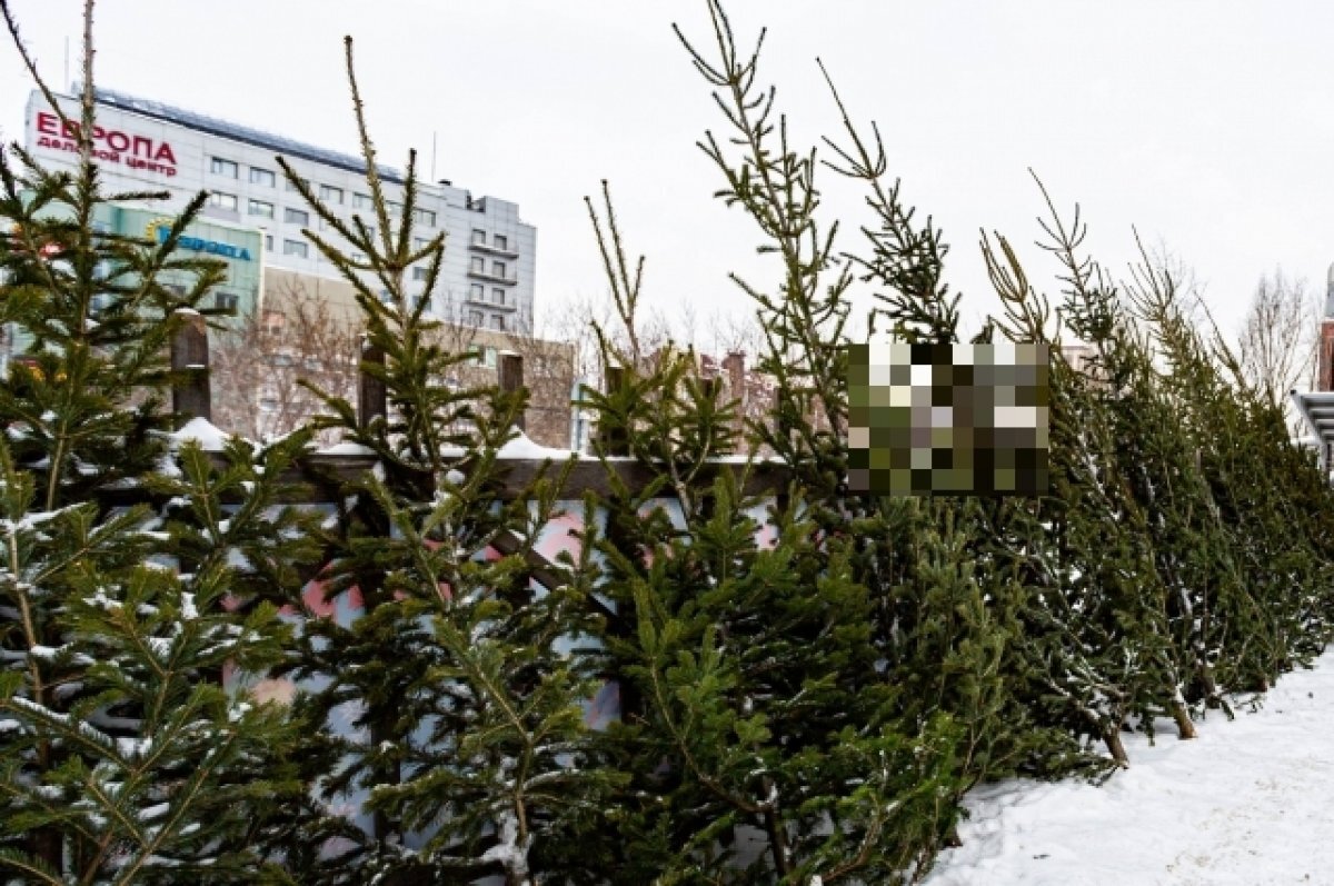    В декабре в Октябрьском округе Омска откроются 15 ёлочных базаров