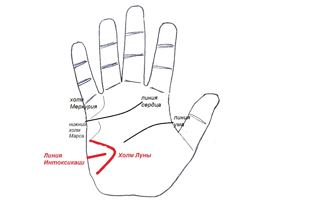 Смотрим по активной ладони