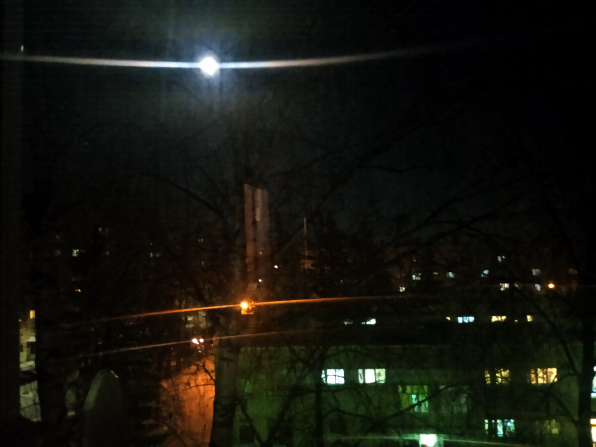 Фотография сделана мной. 