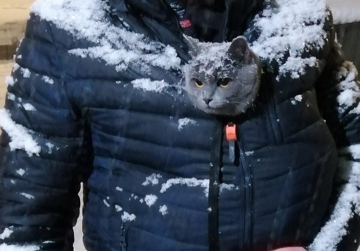 Смотреть на снег лучше из-за пазухи...