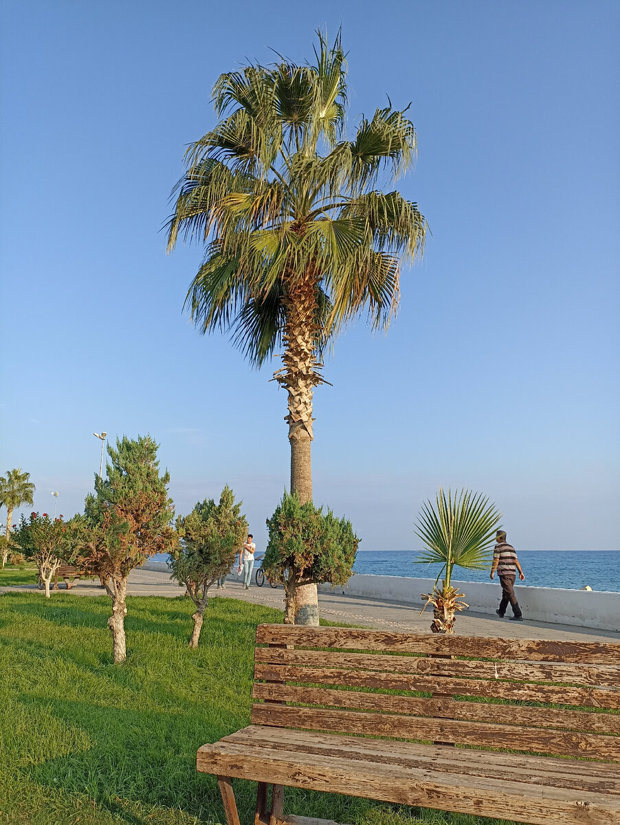 Турция, берег Средиземного моря