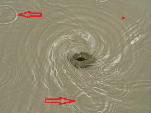 Фотография водоворота при сливе воды. Красной стрелкой показаны узлы взаимно-центрического полевого вращения, что говорит об полевой структуре пространства и на Земле, и в космосе. 