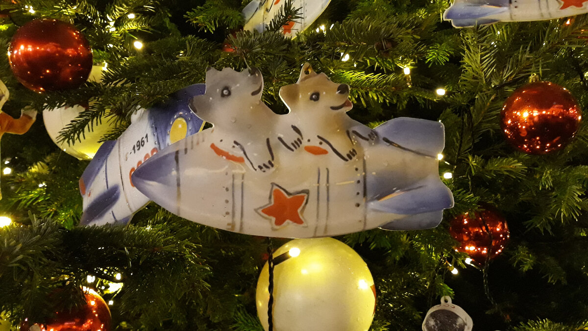 НГ 2022 Фото автора