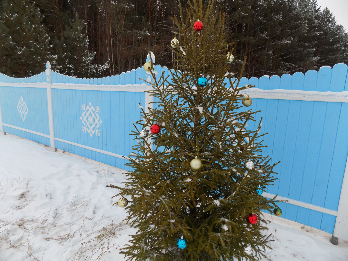 Фото Елены Яшметовой