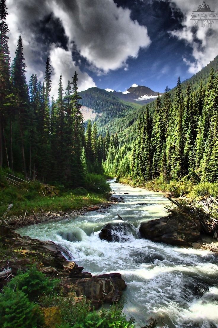 Яндекс.Картинки