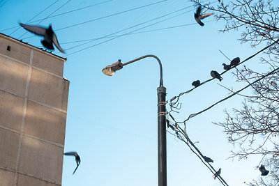    Зима в Московском регионе ©Мария Шуревская РИАМО