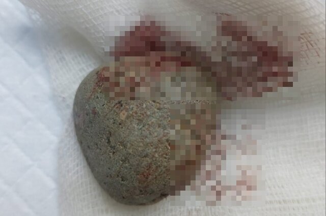    Фото: Из архива/ Ветеринарный комплекс