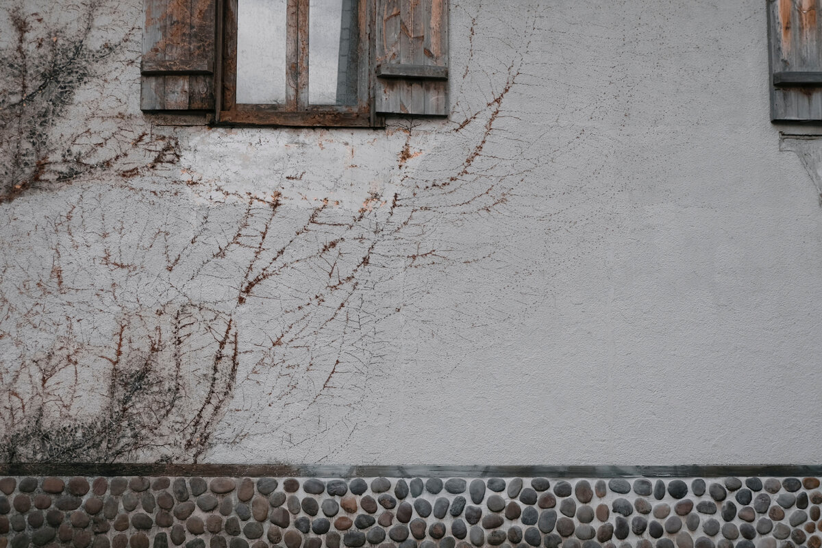 Фотограф: Henry & Co.: https://www.pexels.com/ru-ru/photo/3707355/