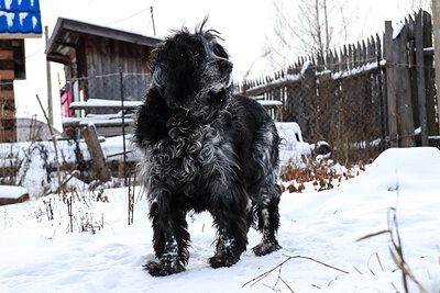 ФОТО: ELENA MAYOROVA/GLOBAL LOOK PRESS.