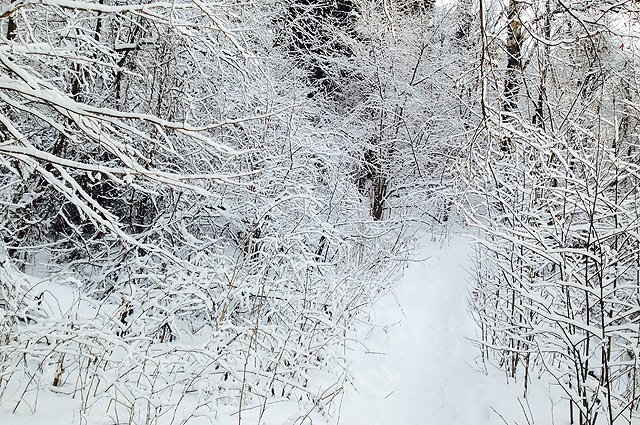    Как не погибнуть от холода в морозы?