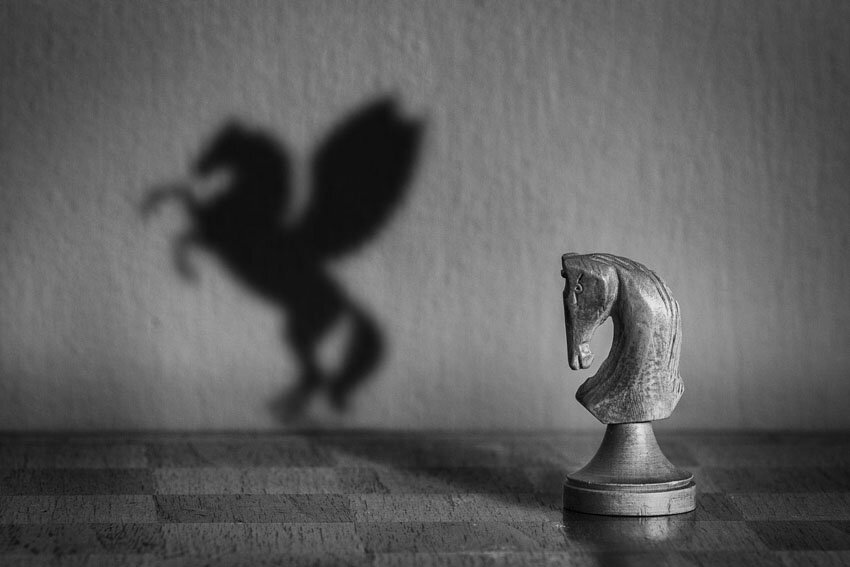 Ежедневник Ксении Синициной. Фото из открытых источников 