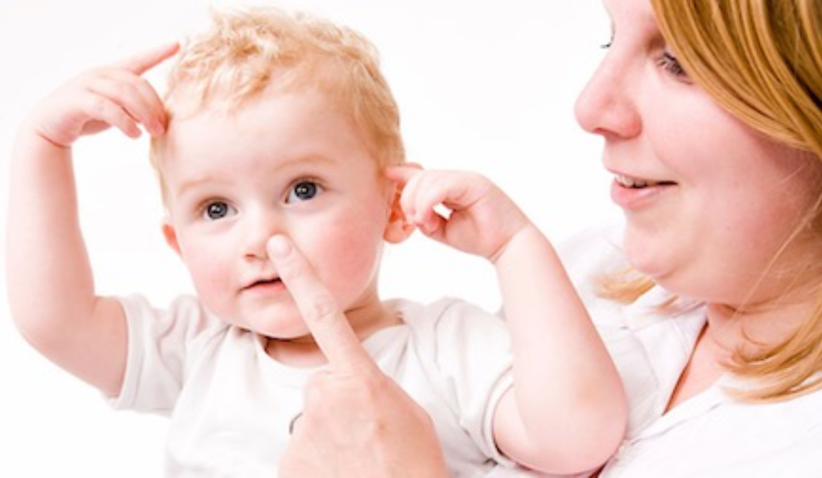 Добавьте описание