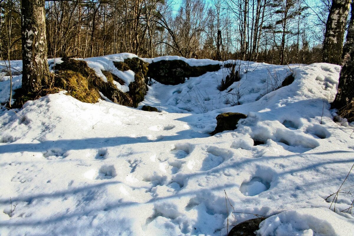 Городище точна