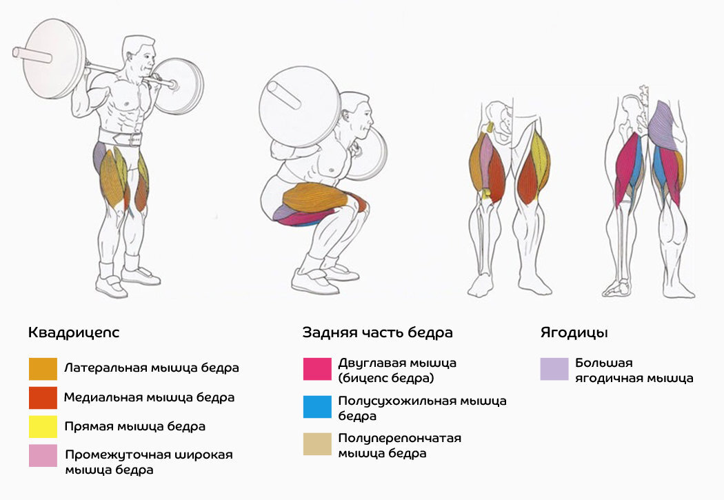из яндекс картинок