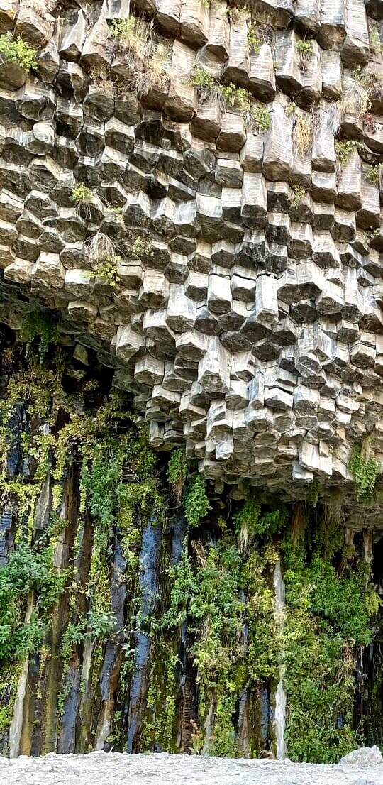 Базальтовый орган