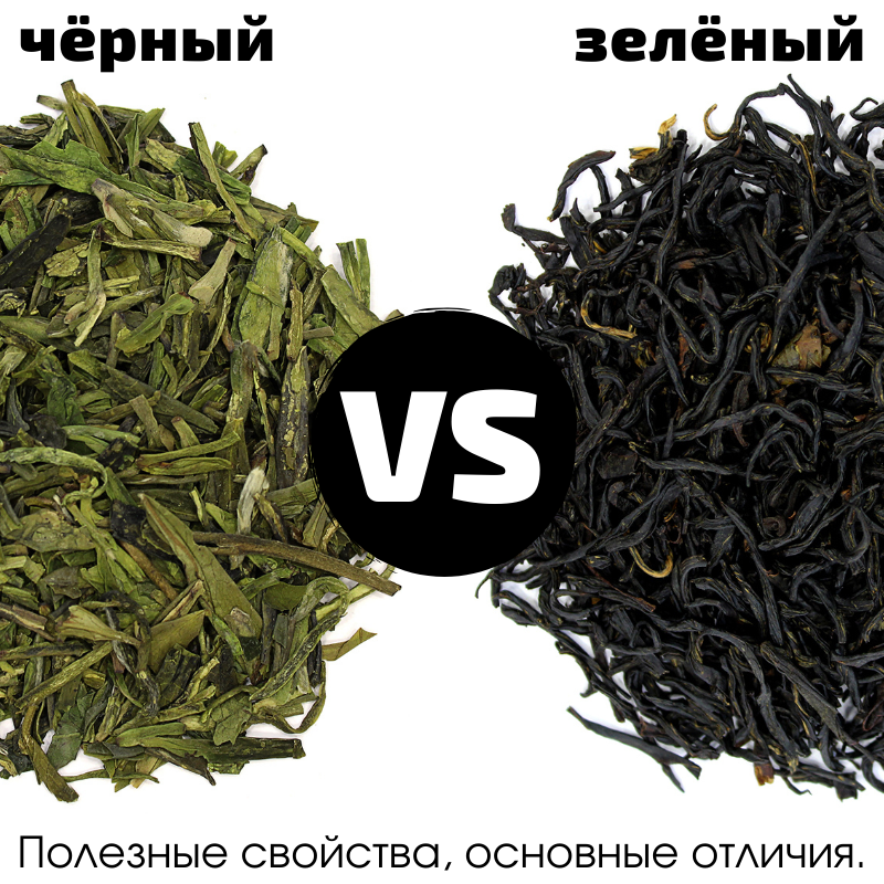 Где черный чай. Черный и зеленый чай. Разница черного и зеленого чая. Чай черный. Черно зеленый чай.