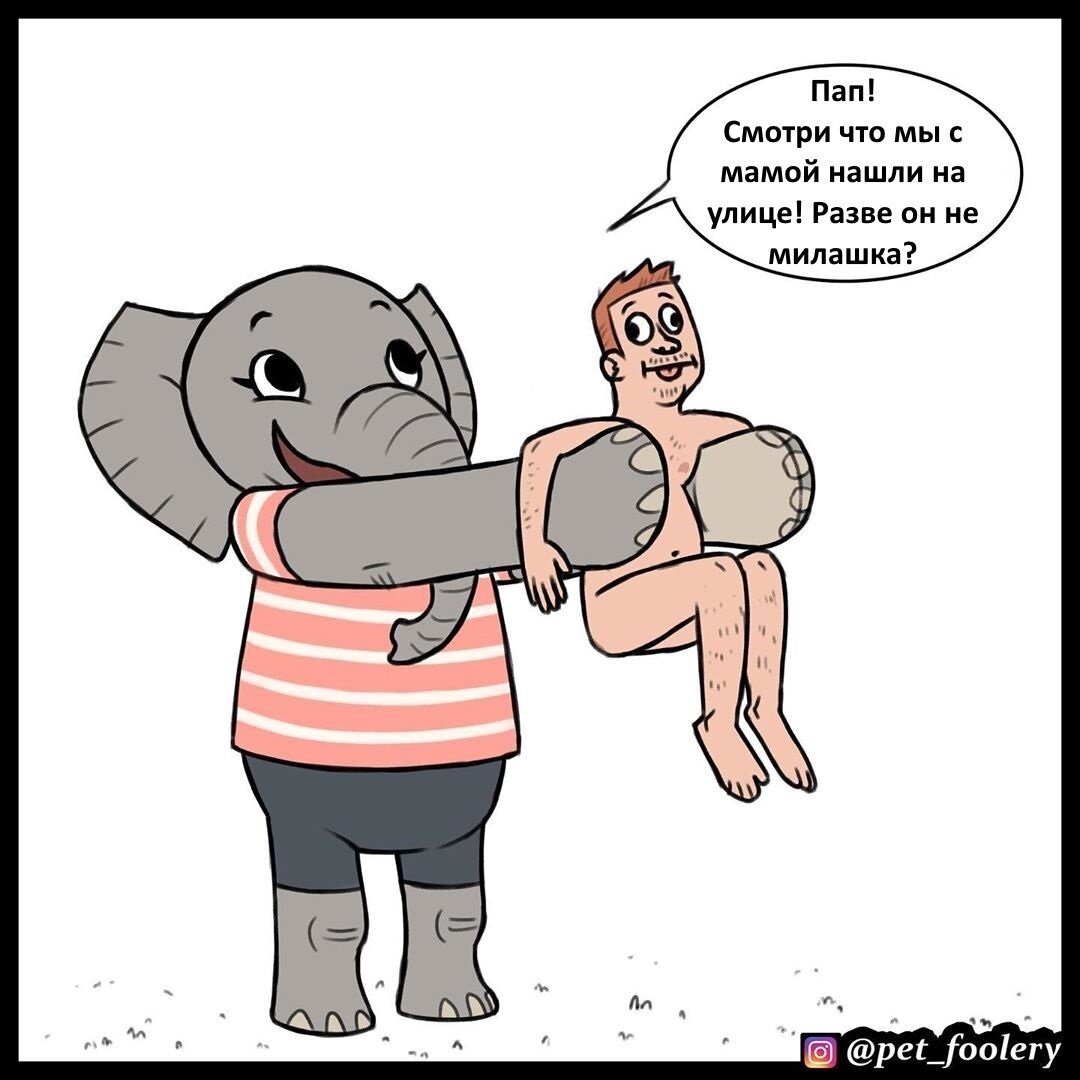 Источник: Инстаграм pet_foolery. Перевод: https://vk.com/pixie_and_brutus
