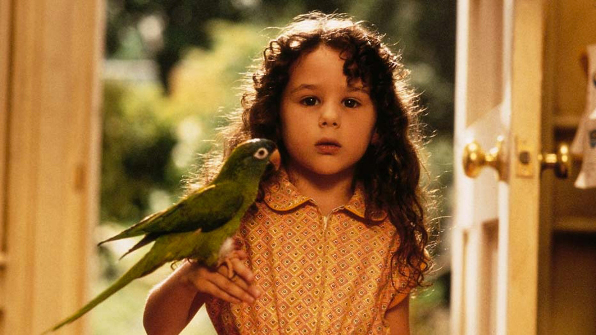 Фильм не стал большим хитом, но зато его до сих пор помнят зрители