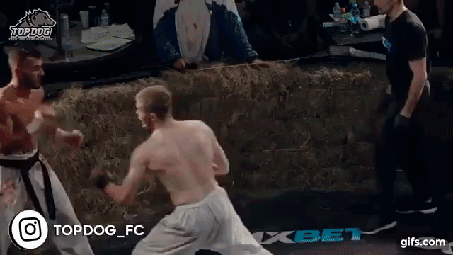 Gif с ютуб канал "Top Dog"  