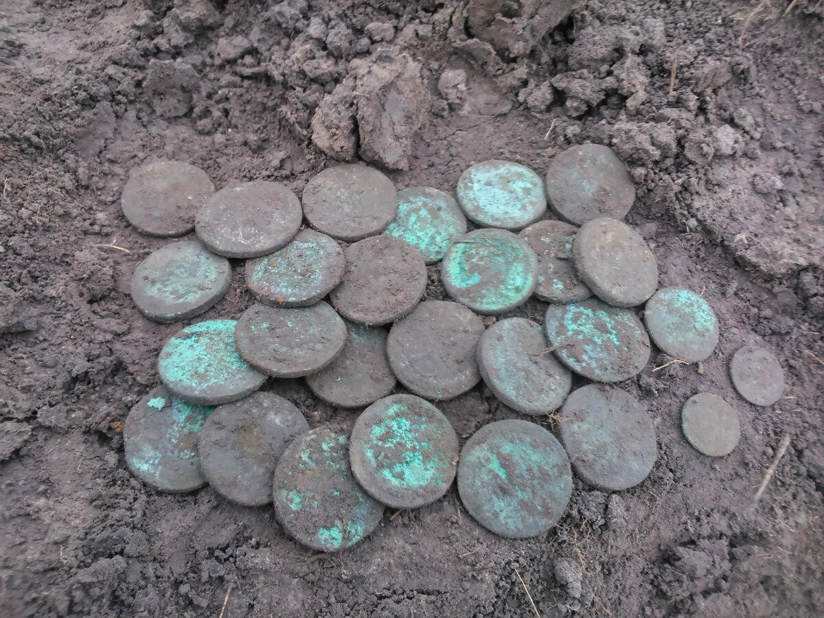 Монеты найдены в земле