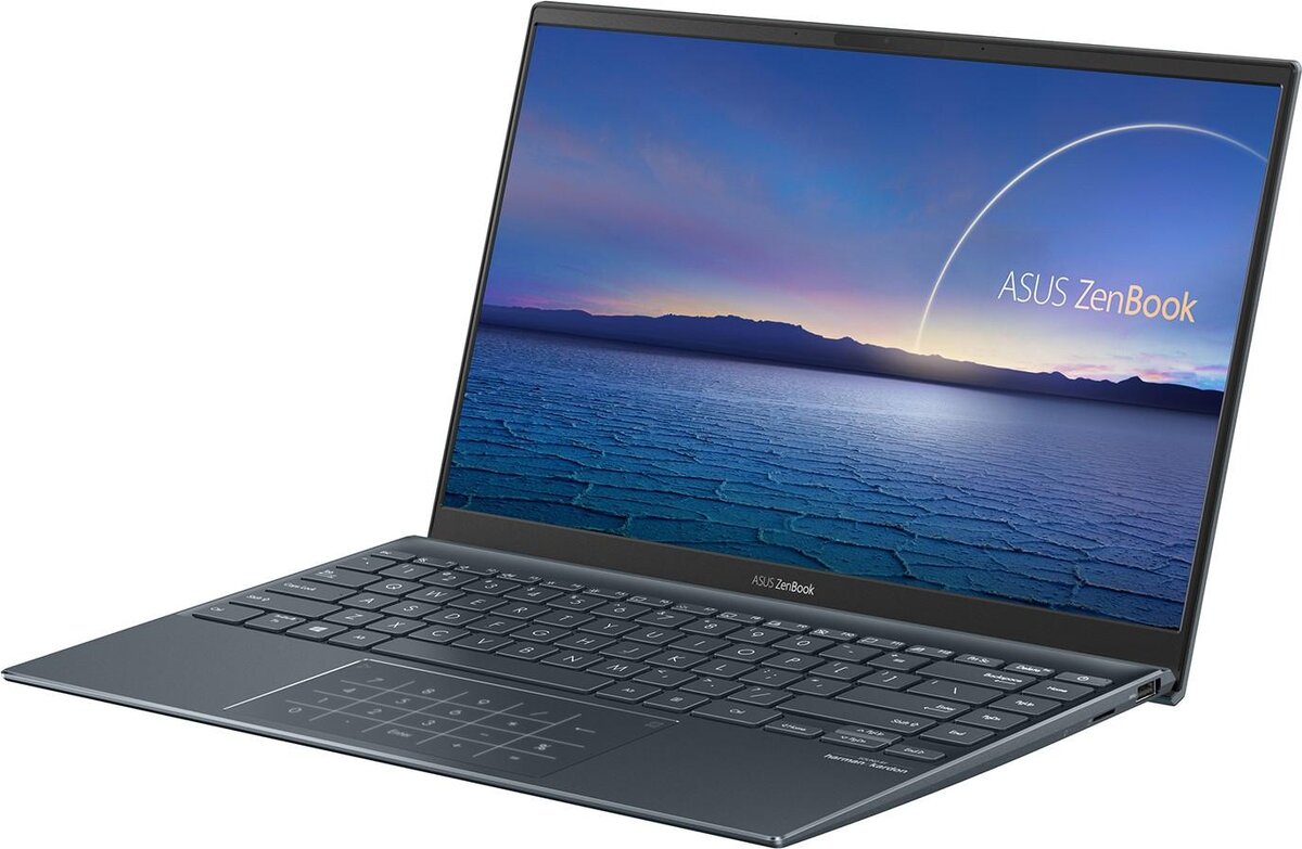 ASUS ZenBook UX425JA