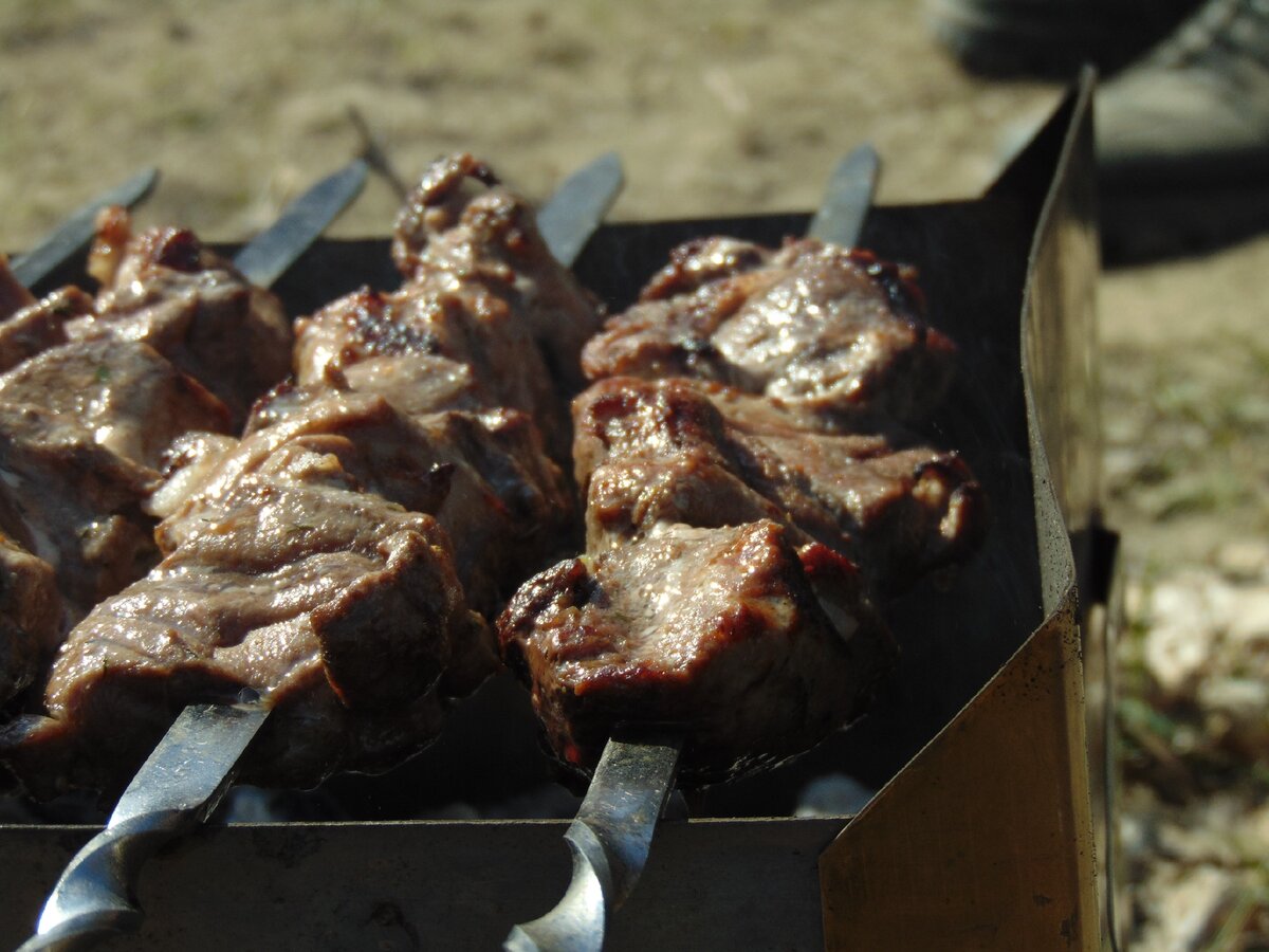 Все, что осталось после шашлыка - на шулюм. 